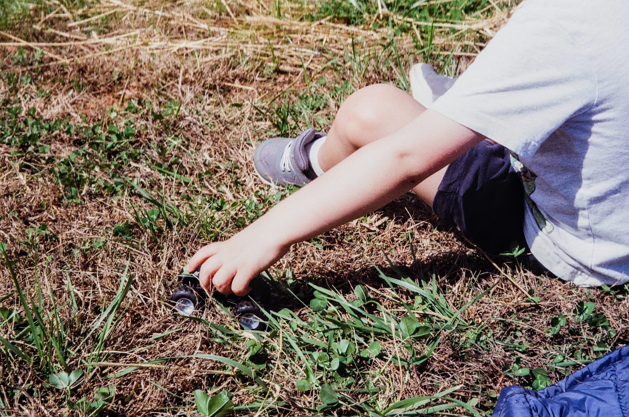 Toys photographs