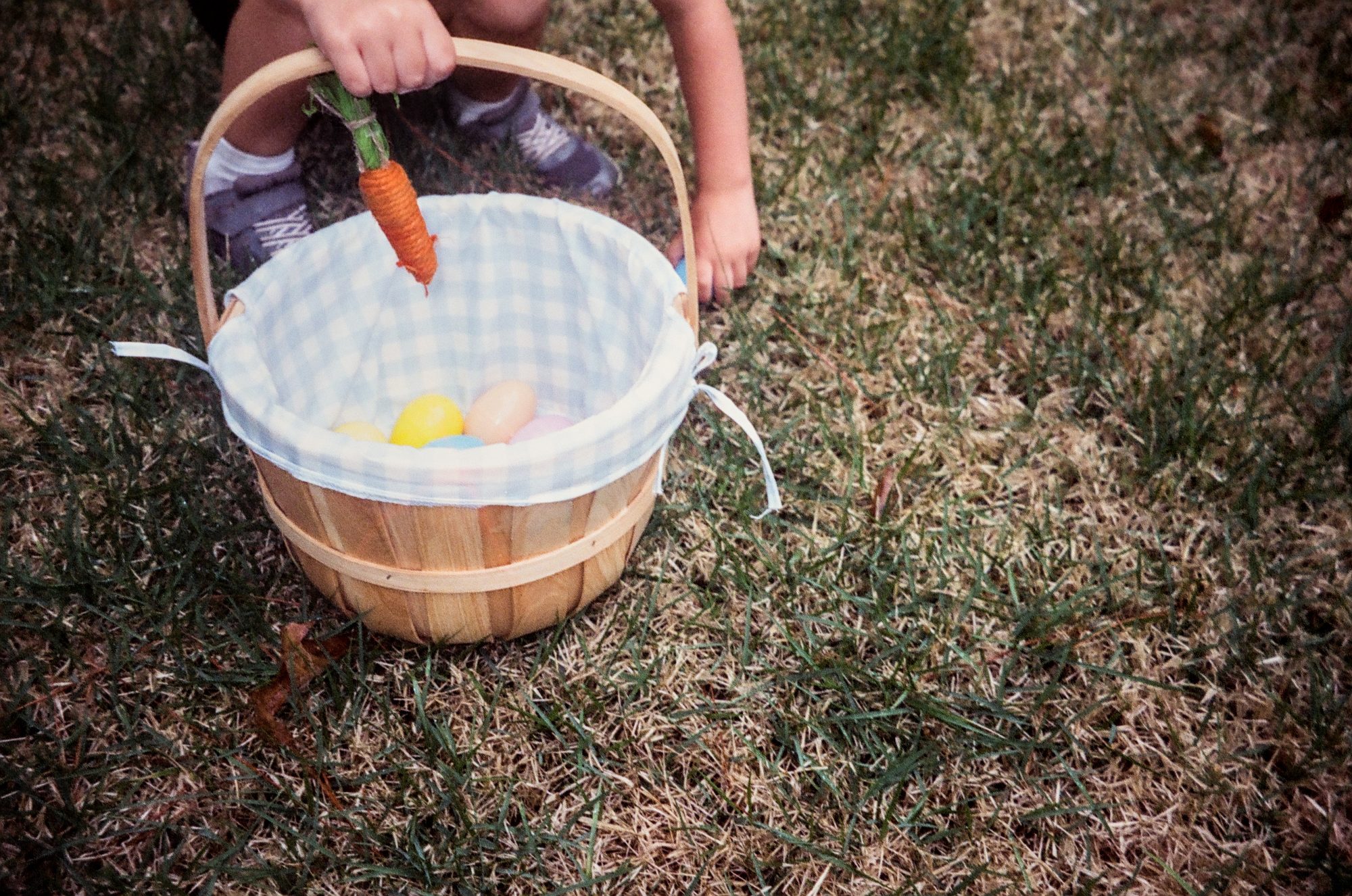 Found One! — Home. Color photograph by Jeff Pearson.